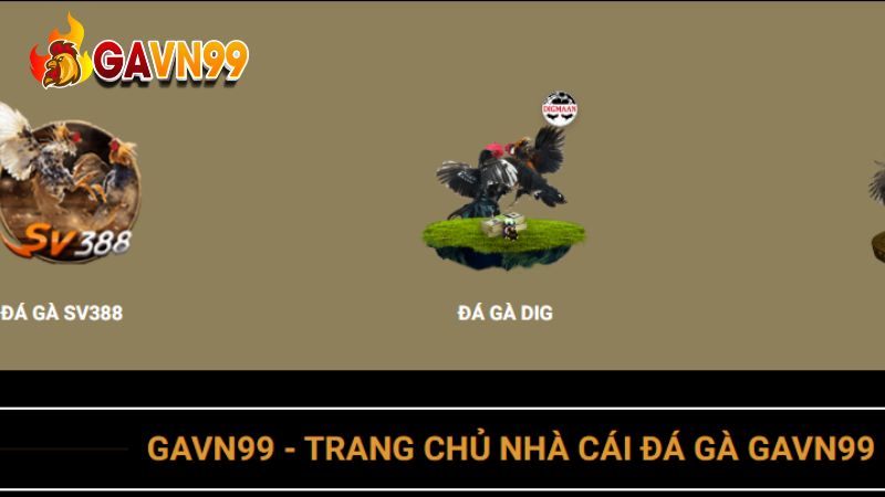 Nhà cái GAVN99 cung cấp sản phẩm chất lượng hàng đầu